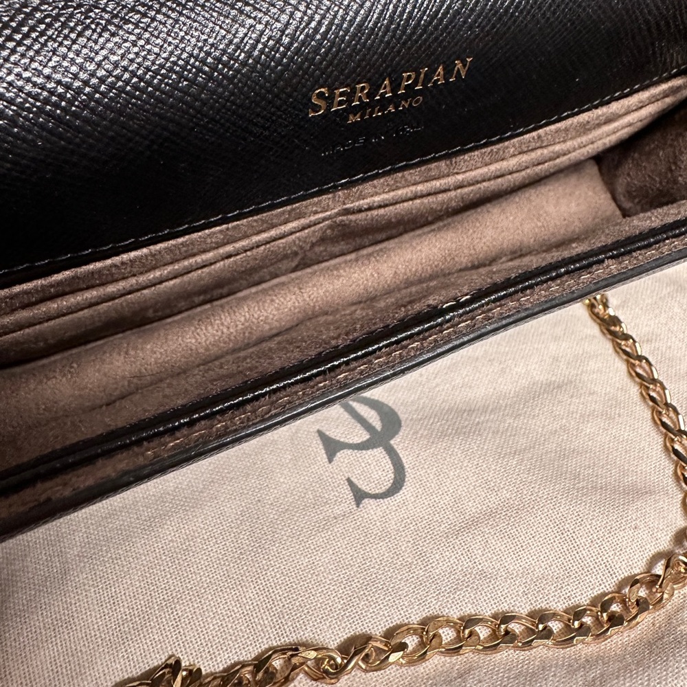 Serapian Milano clutch